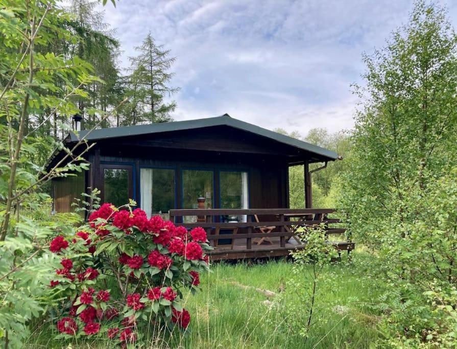 Woodland Retreats Lägenhet Fort William Exteriör bild